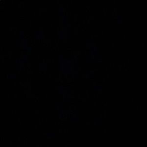 Meet your Posher, Tom